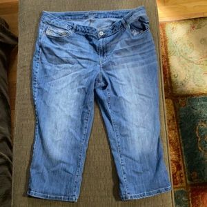 Maurices capri size 20